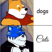 Toshi cat pooh bear — $TOSHI meme