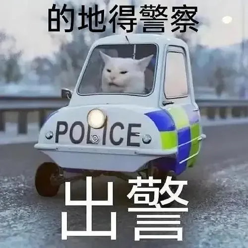 Cat Police — Reaction meme