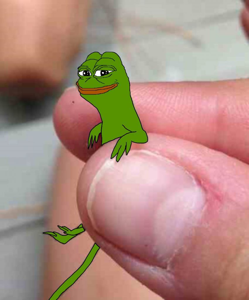 Pepe small salamander — Pepe meme