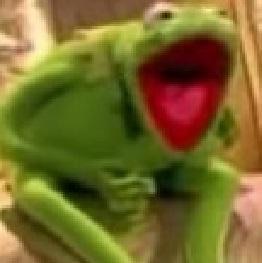 Kermit hysterically laughing — Reaction meme