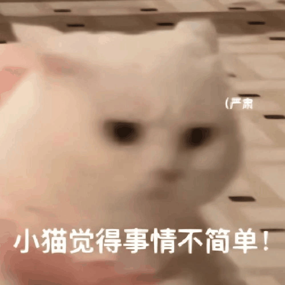 小猫觉得事情不简单 Cat Think Things are not that Simple — Reaction meme