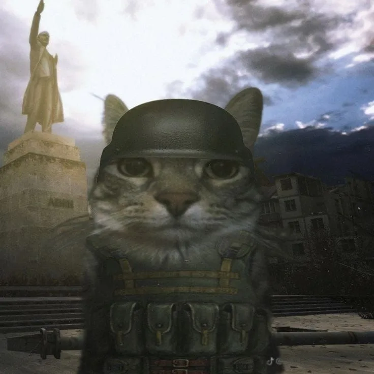 Red army cat — Reaction meme