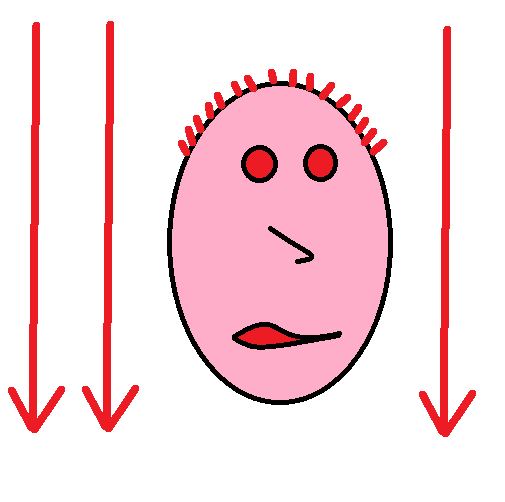 Pink wojak guy down arrow — Wojak meme
