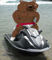 Bobo waterski — Bobo meme
