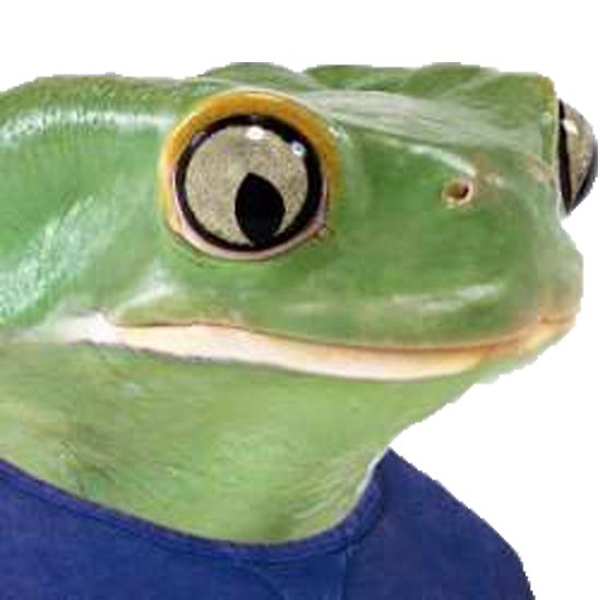 Pepe actual frog — Pepe meme
