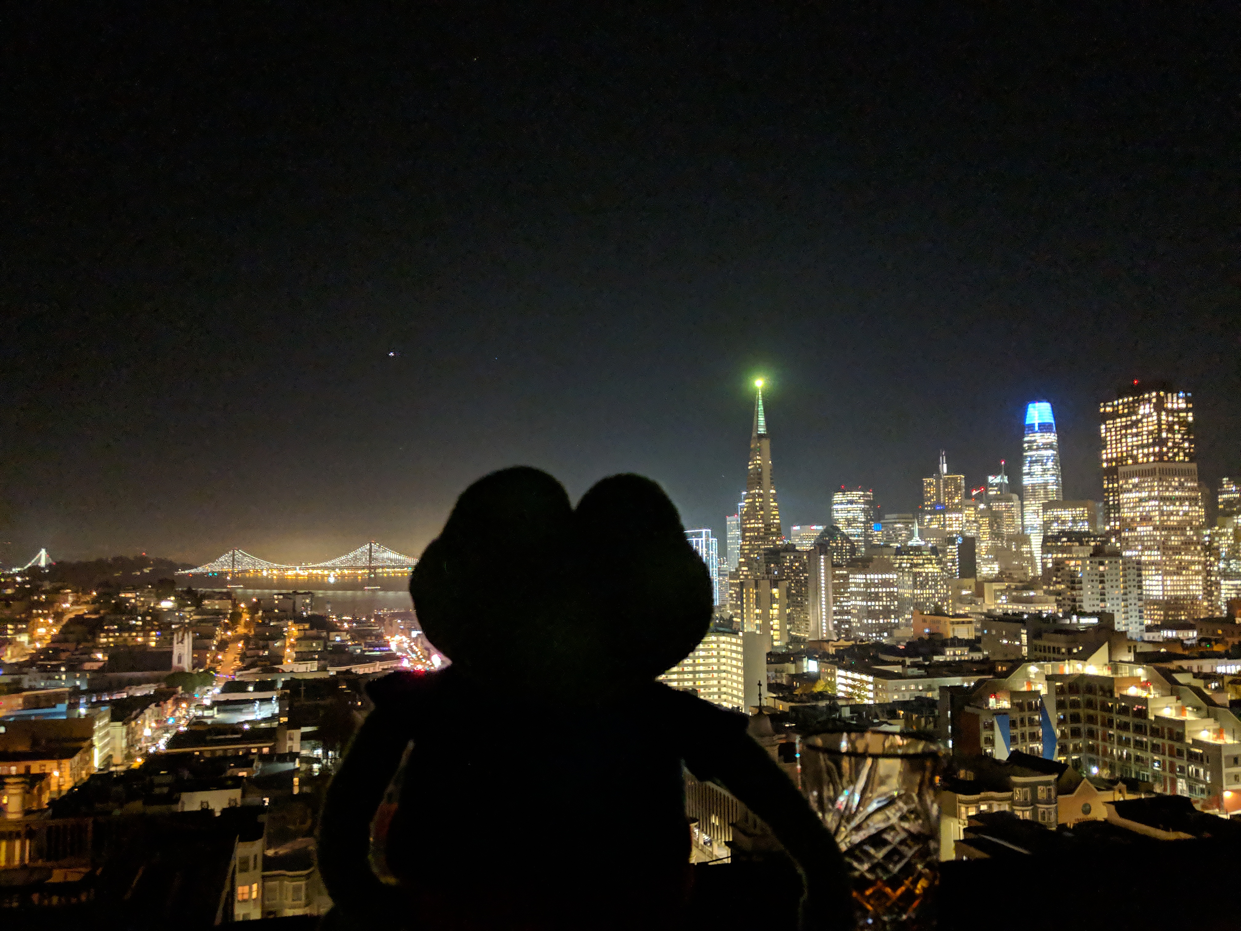 Pepe admires city night — Pepe meme