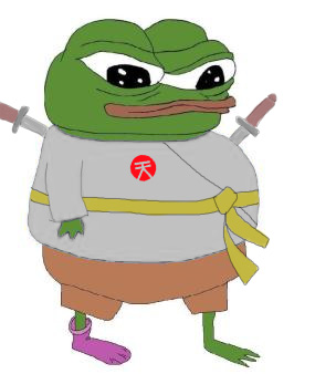 Pepe yellow belt ninja — Pepe meme