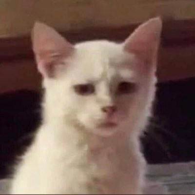Sadcat — Reaction meme