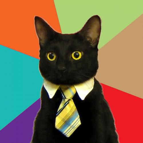 Business Cat meme template — Templates meme