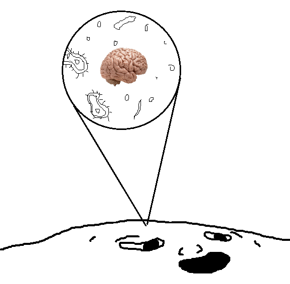 Brainlet brain microscopic — Brainlet meme