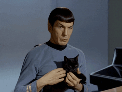 Stroking Cat Spock — Reaction meme