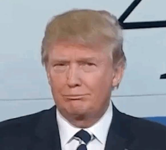 Befuddled Trump — Memes meme