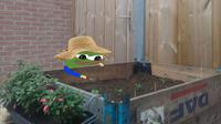 Pepe gardening wearing hat — Pepe meme