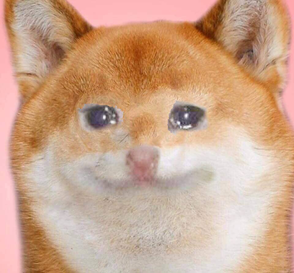 Crying shibe — Reaction meme
