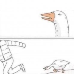 Goose Chase meme template — Templates meme