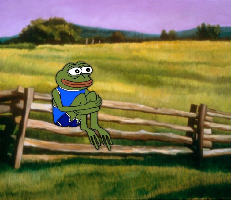 Pepe happy sitting on fence — Pepe meme