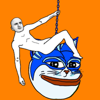 Toshi cat wrecking ball — $TOSHI meme