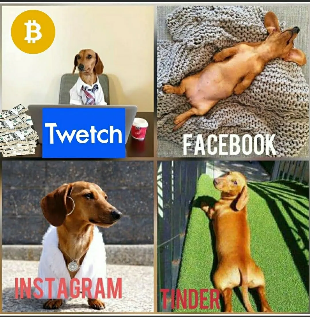 Realistic Socials — Twetch meme