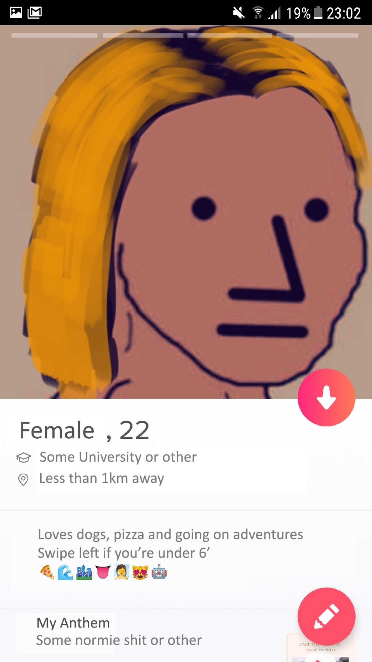 Wojak soy girl tinder profile — Wojak meme
