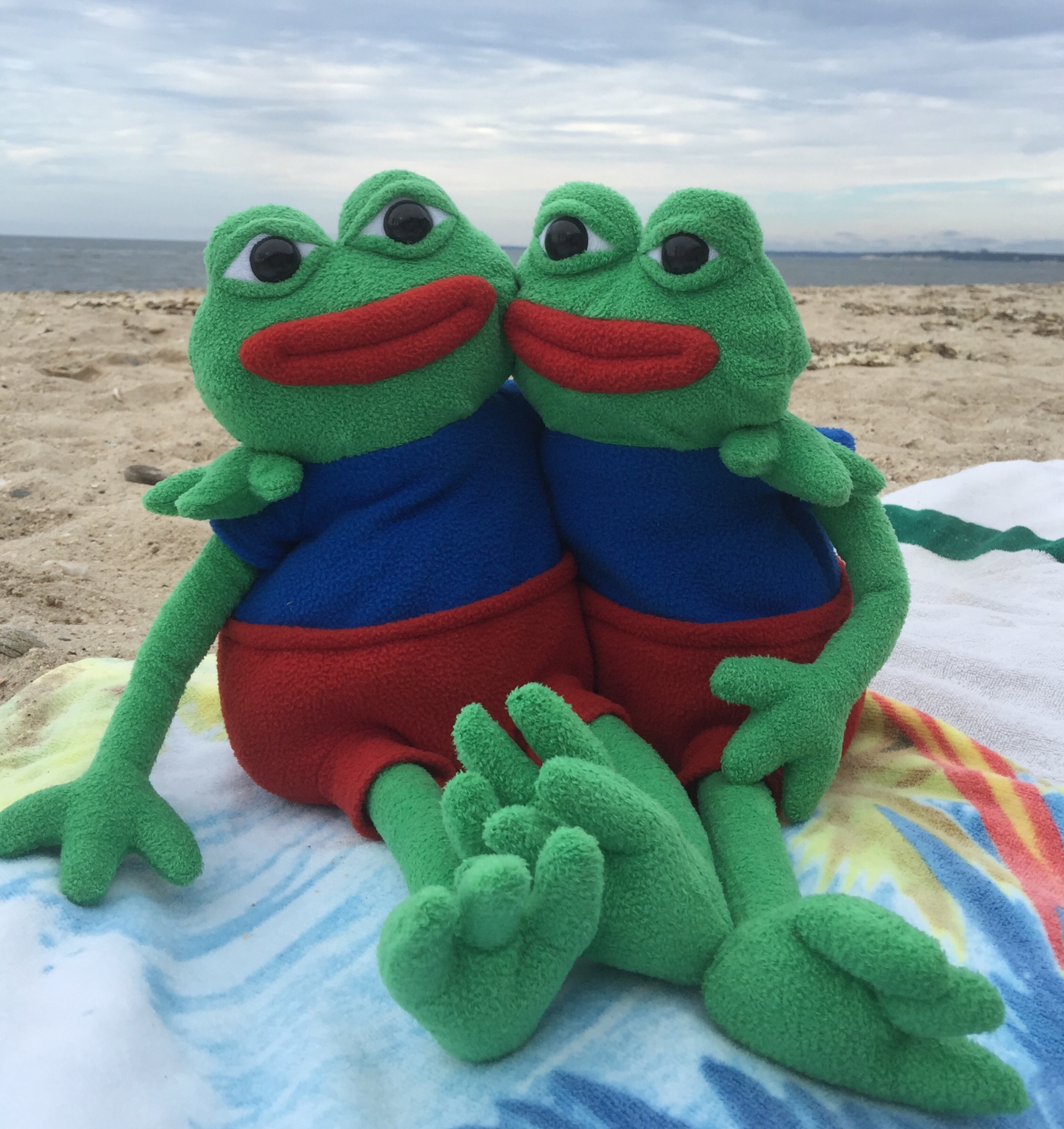 Pepe plushs beach — Pepe meme
