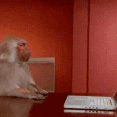 Monkey Push Away Laptop — Reaction meme