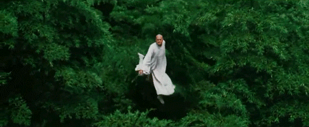 Li Mu Bai Floating Through Bamboo Forest — Reaction meme