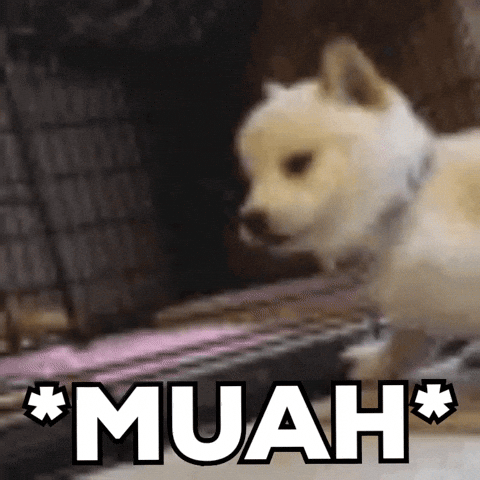 Doggie Wanna Kiss — Reaction meme