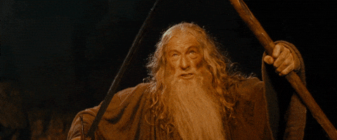 You Shall Not Pass — Reaction meme