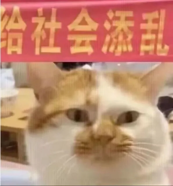 给社会添乱 — Reaction meme