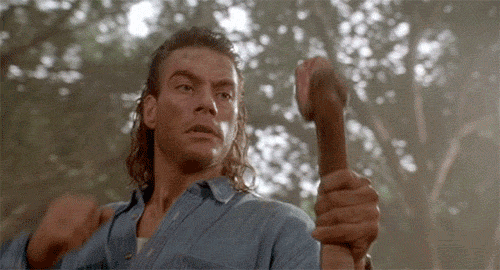 Jean claude punches snake — Reaction meme