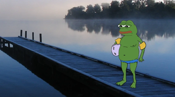 Pepe on dock swimming — Pepe meme