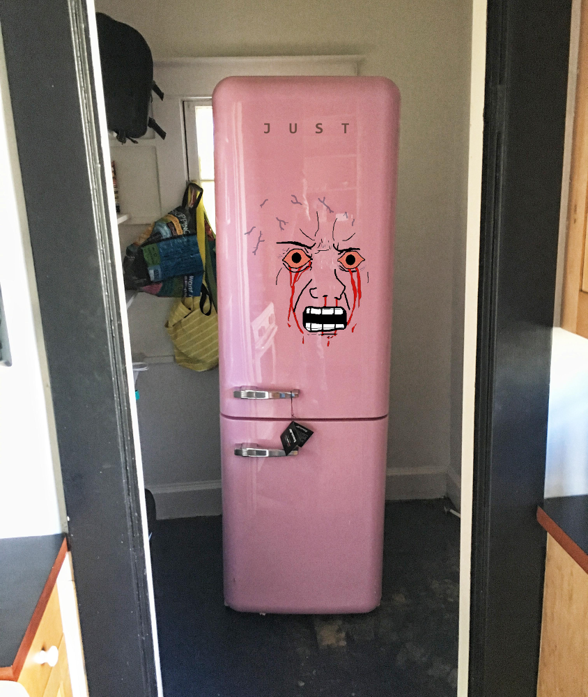 Pink wojak fridge — Wojak meme