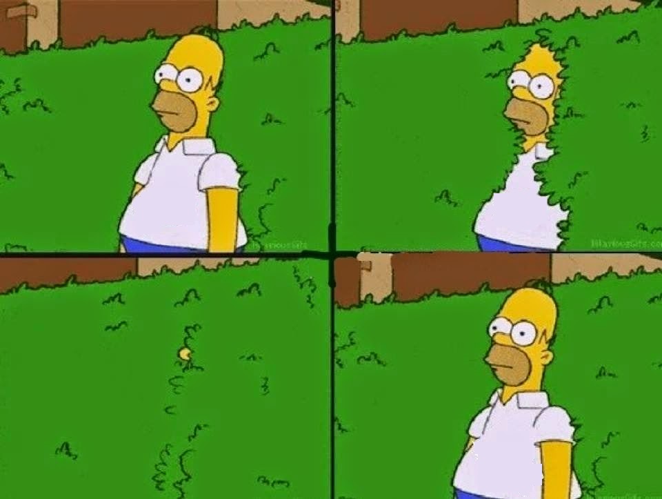 HOMER BUSH meme template — Templates meme