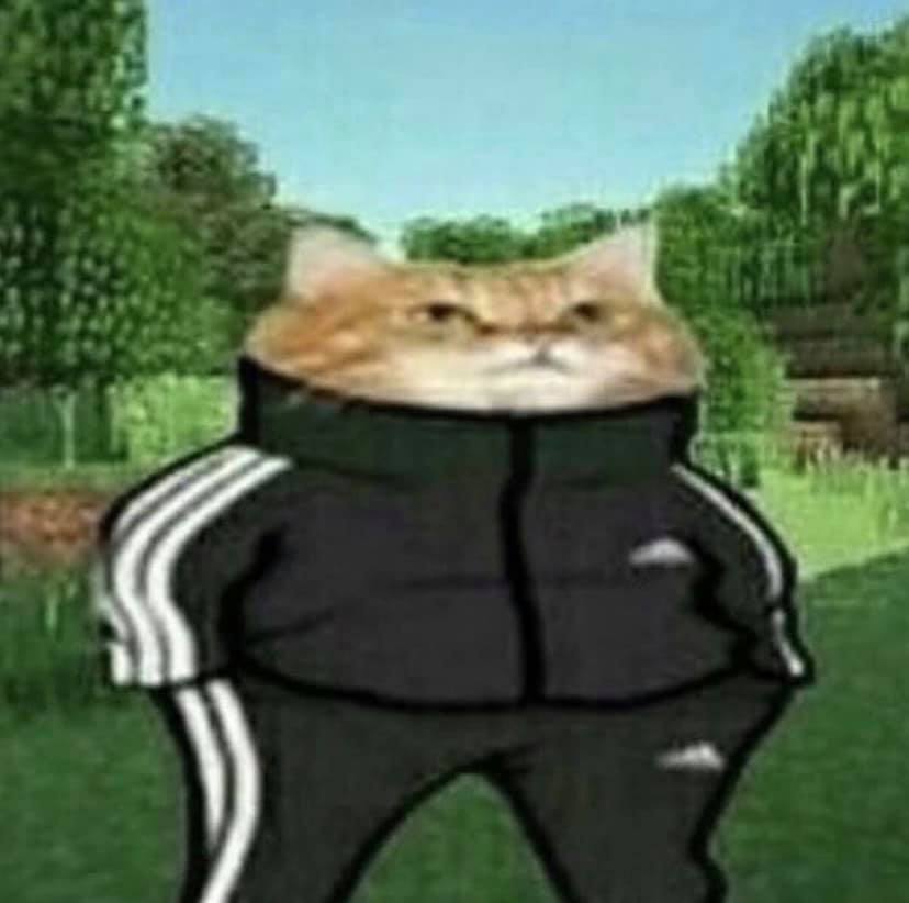 Cat in track suit — Reaction meme