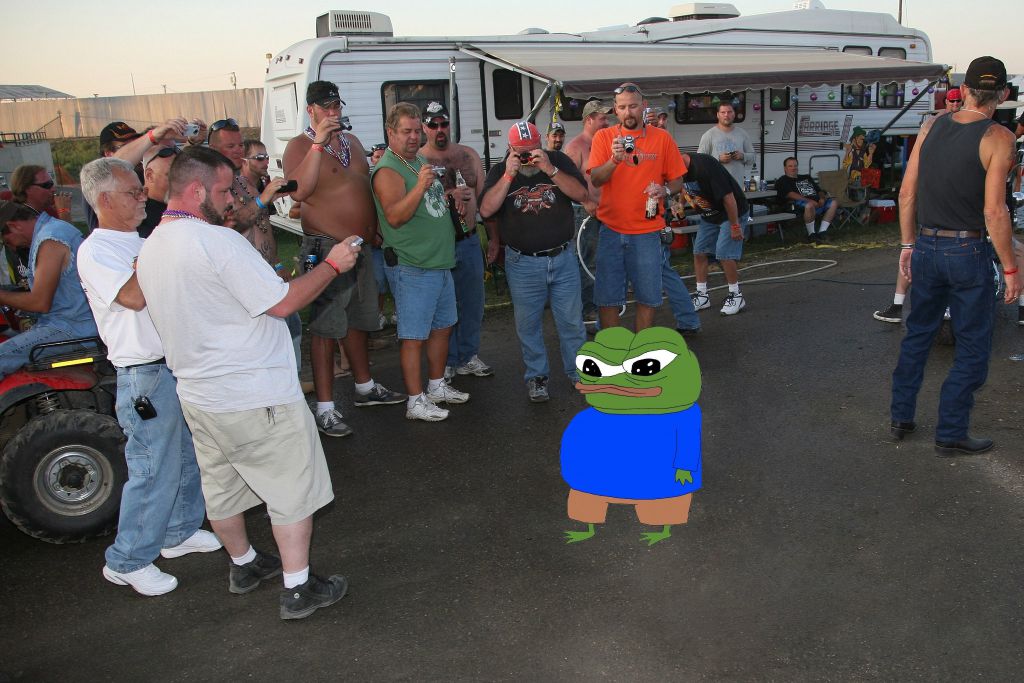 Pepe trailer park festival — Pepe meme