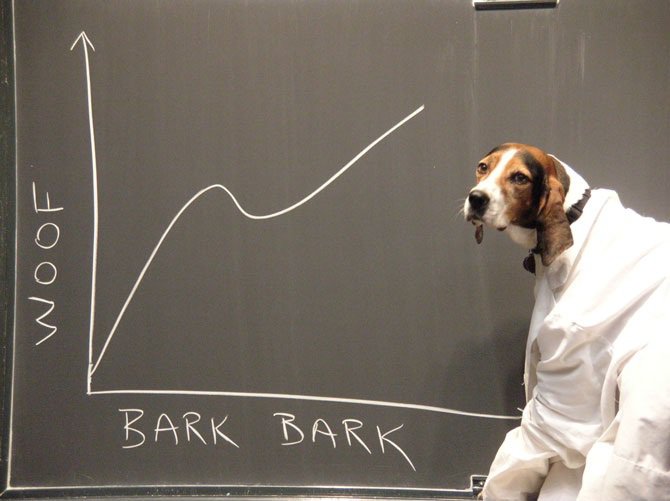 Dog woof bark scientist — Reaction meme