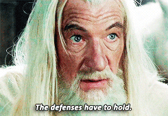 Defenses Have To Hold — Reaction meme