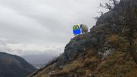 Pepe and sheep on side of hill — Pepe meme