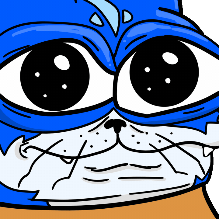 Toshi cat big eyes looking around — $TOSHI meme