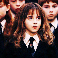Hermione Granger Speechless — Reaction meme