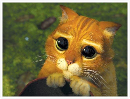 Shrek Cat meme template — Templates meme
