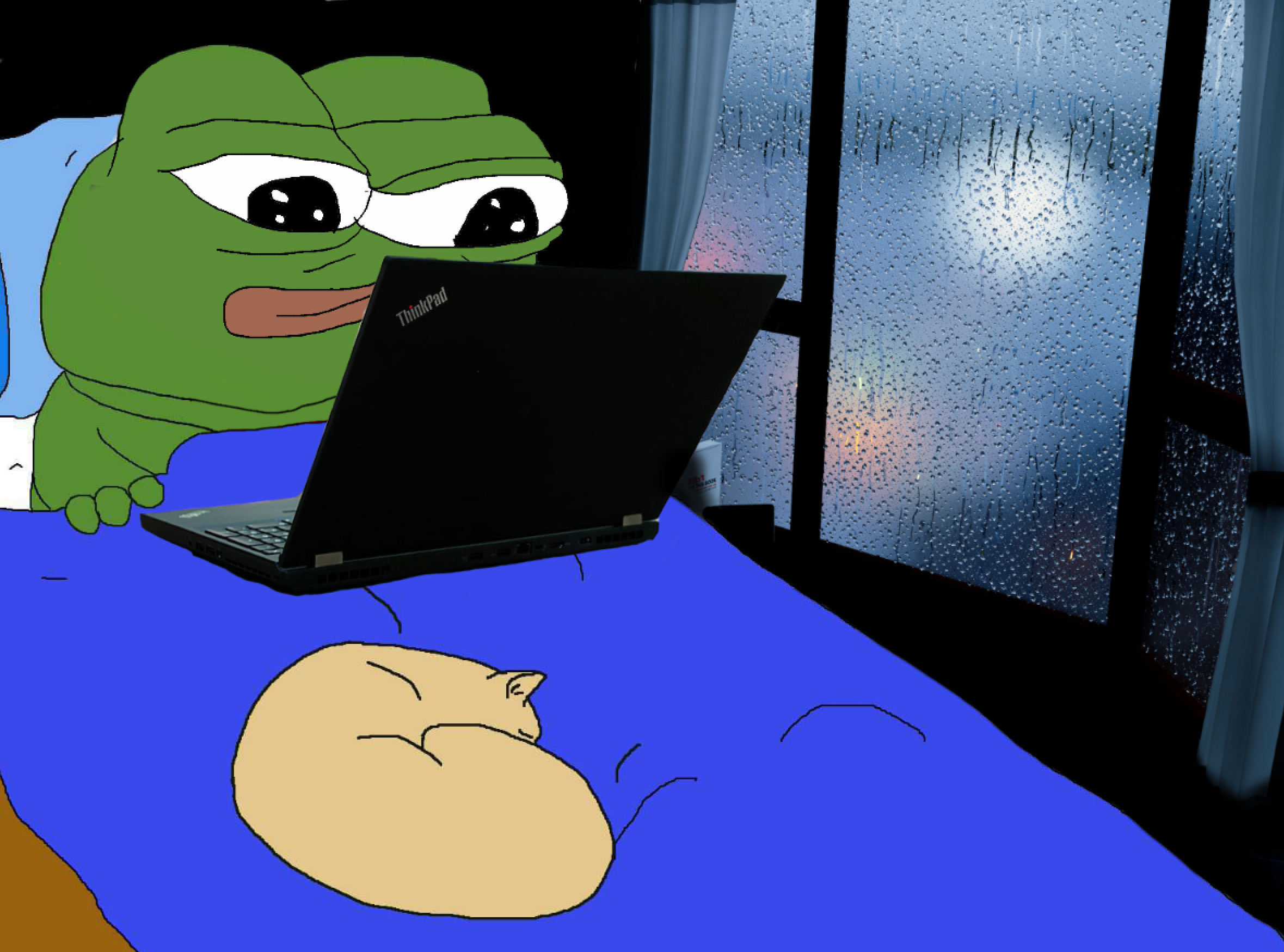 Pepe in bed laptop cat — Pepe meme