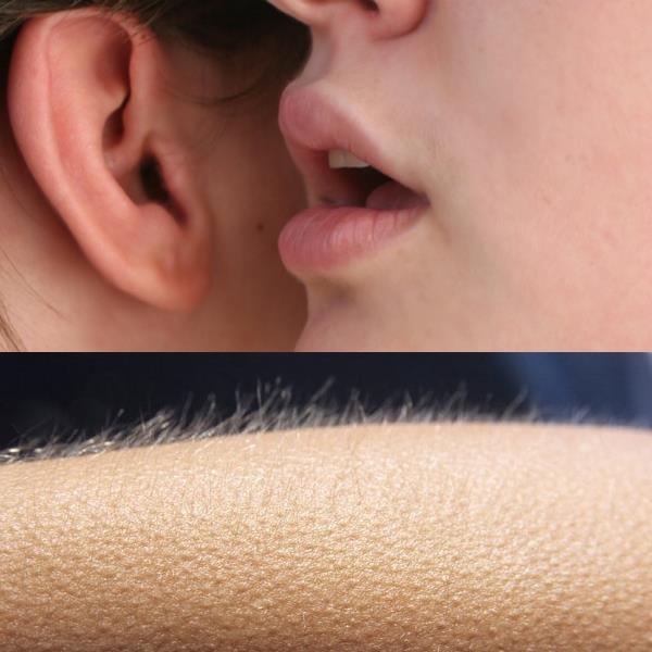 Whisper and Goosebumps meme template — Templates meme