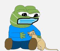 Pepe wearing mask petting cat — Pepe meme