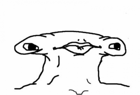Brainlet hammerhead — Brainlet meme