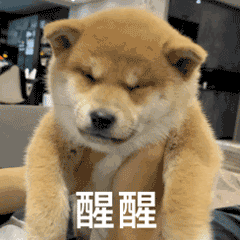 醒醒 — Reaction meme