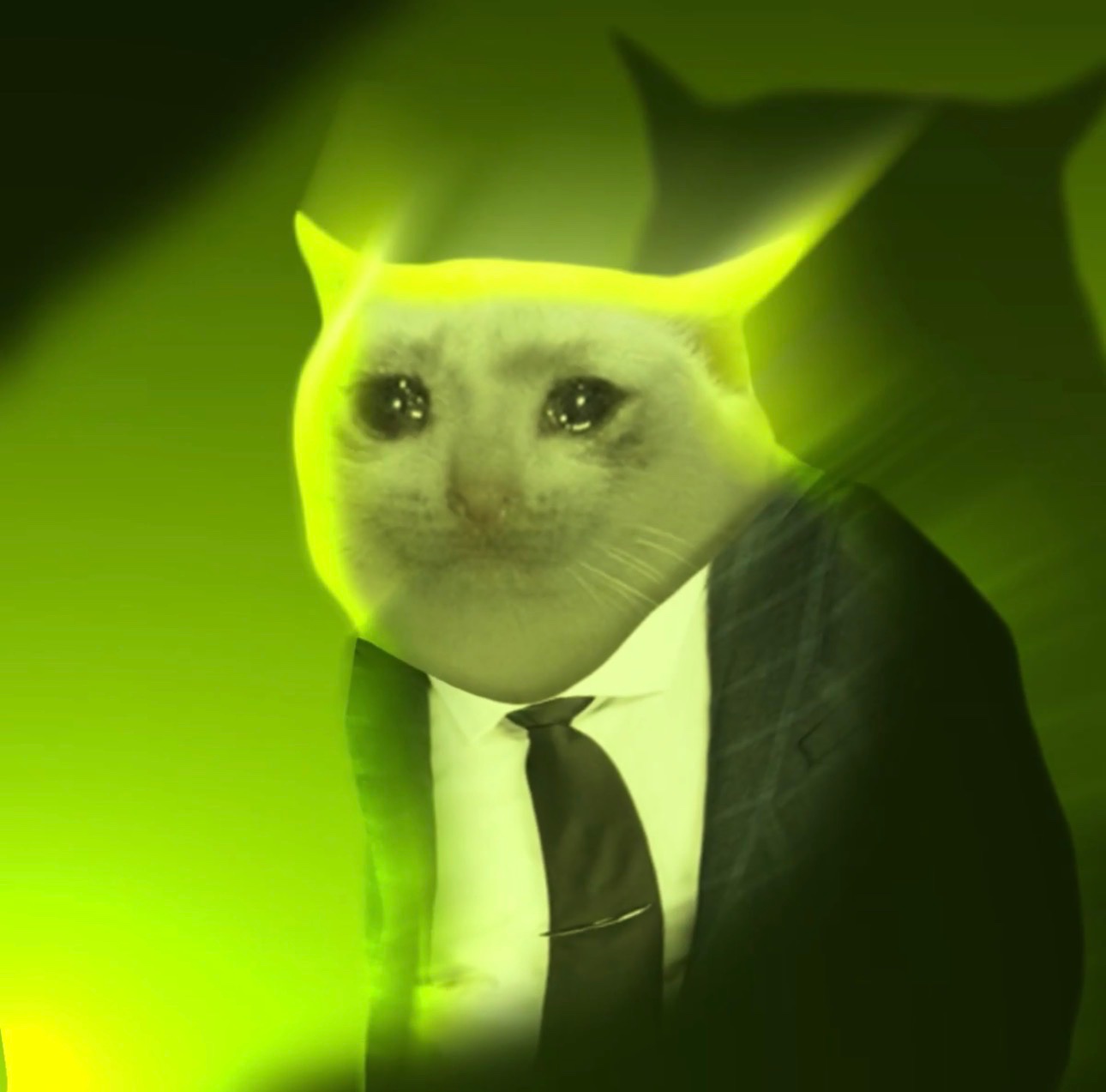 CEO Cat — Memes meme