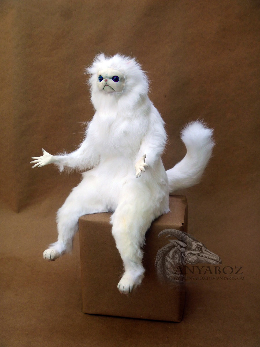 Persian Cat Room Guardian Single meme template — Templates meme