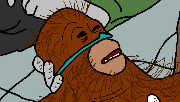 Oragutan on life support illustrated — Reaction meme