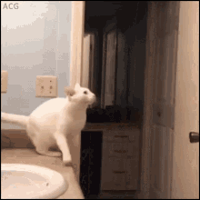 Cat jump failure — Reaction meme